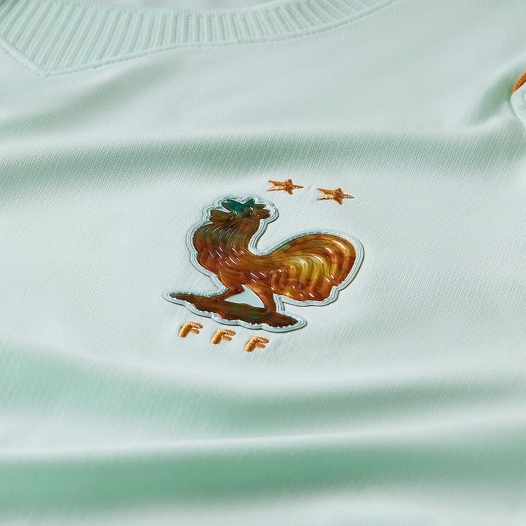MAILLOT DE LA FRANCE